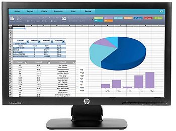 Standard LCD Monitor (HP)